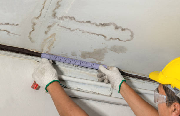 Reliable Burst Pipe Cleanup contractor in Pomeroy, WA by Water Damage Irwin
